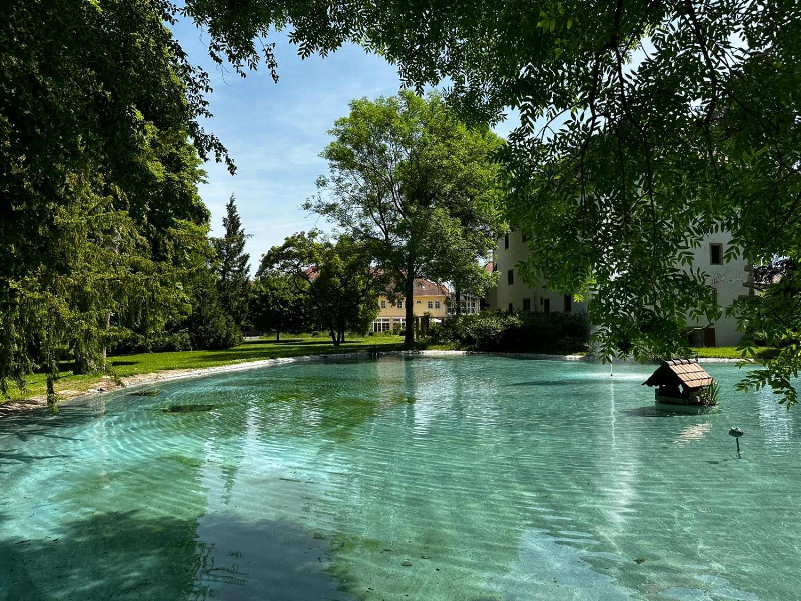 Schloss Neckarbischofsheim Luaran gambar