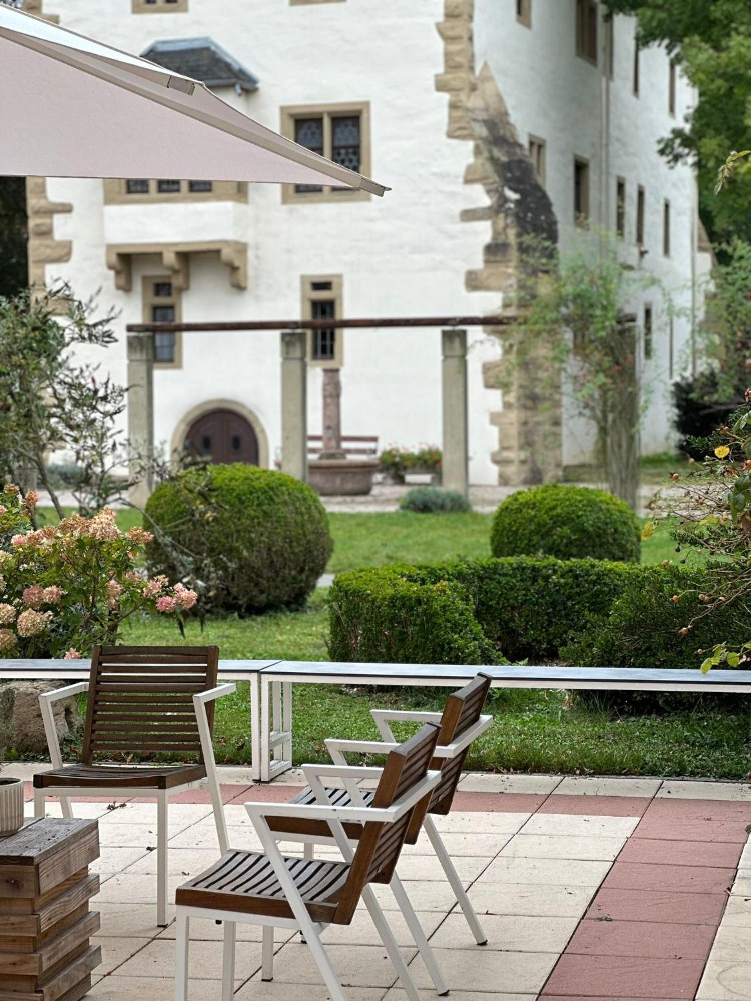 Schloss Neckarbischofsheim Luaran gambar