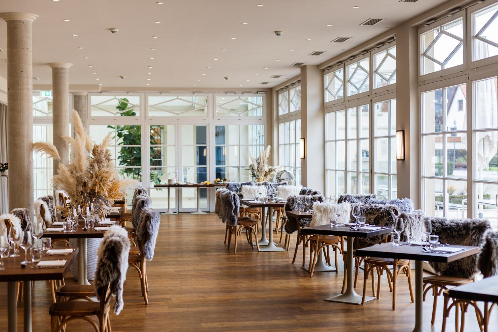 Schloss Neckarbischofsheim Luaran gambar